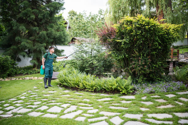 Best Residential Pest Control  in Woodlawn, MD