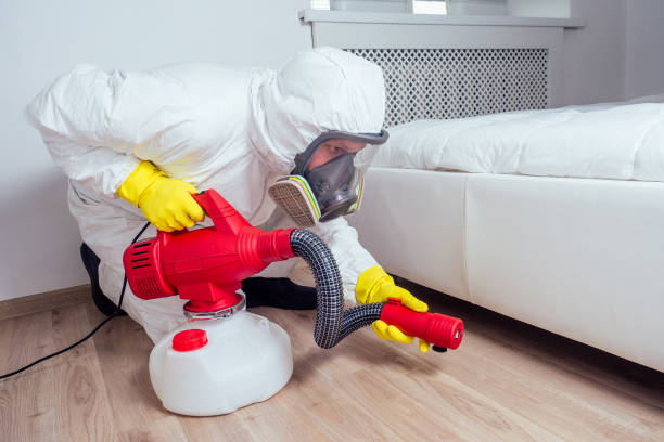 Best Wasp Removal Services  in Woodlawn, MD