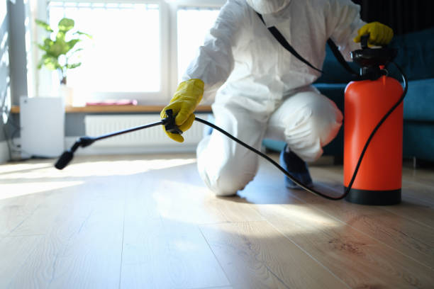 Flea Control Services in Woodlawn, MD