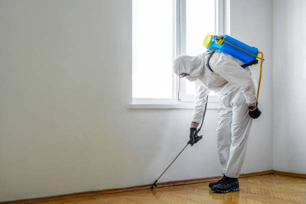 Best Flea Control Services  in Woodlawn, MD