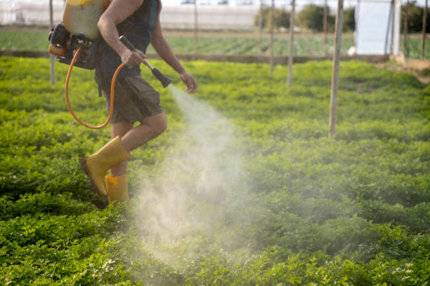 Best Pest Prevention Services  in Woodlawn, MD