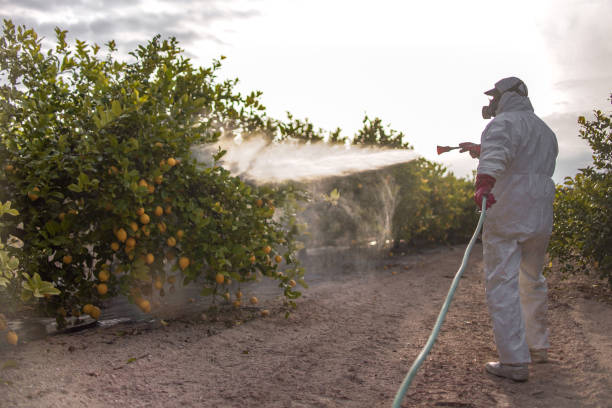 Best Best Pest Control Companies  in Woodlawn, MD