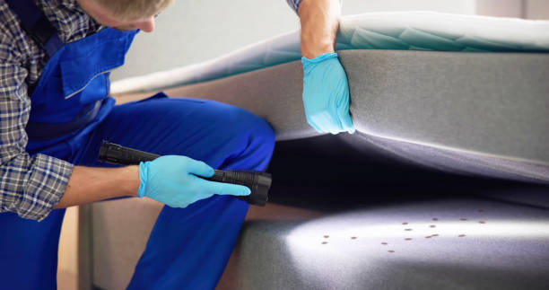 Best Mosquito Control Services  in Woodlawn, MD