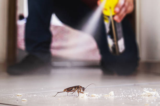 Best Best Pest Control Companies  in Woodlawn, MD