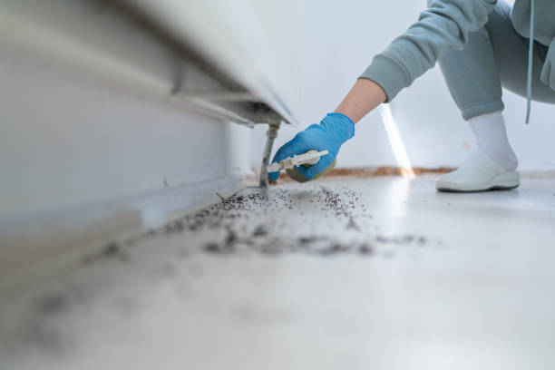 Best Insect Control  in Woodlawn, MD